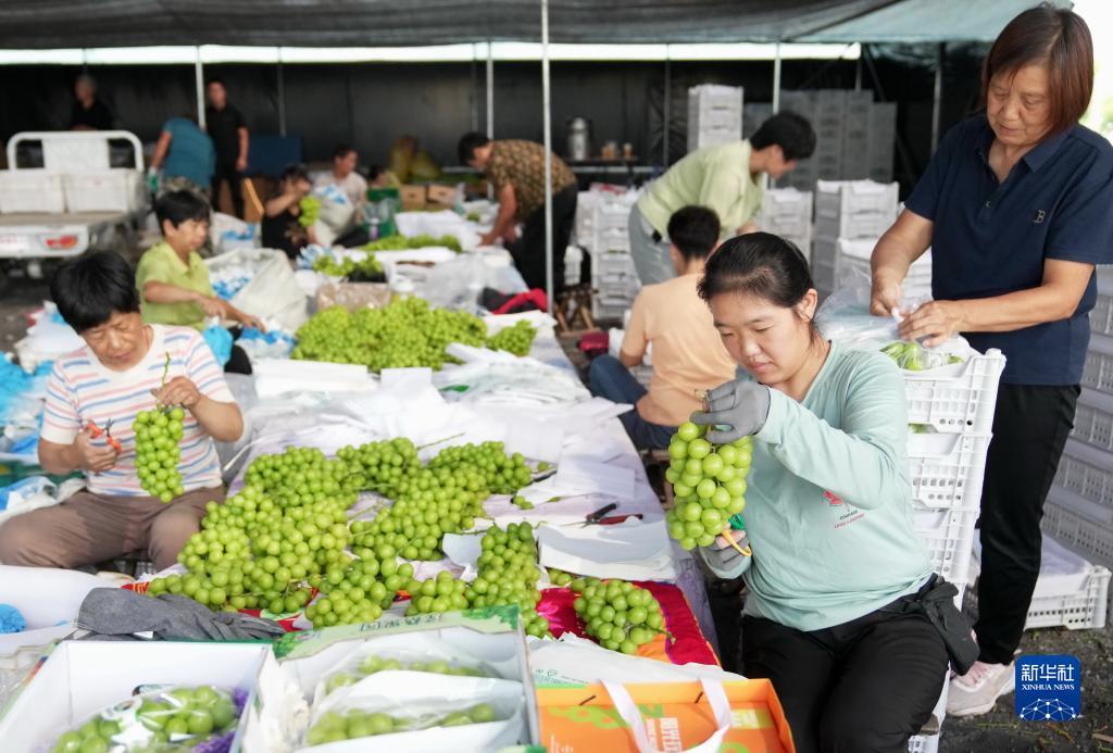 永利真钱技巧